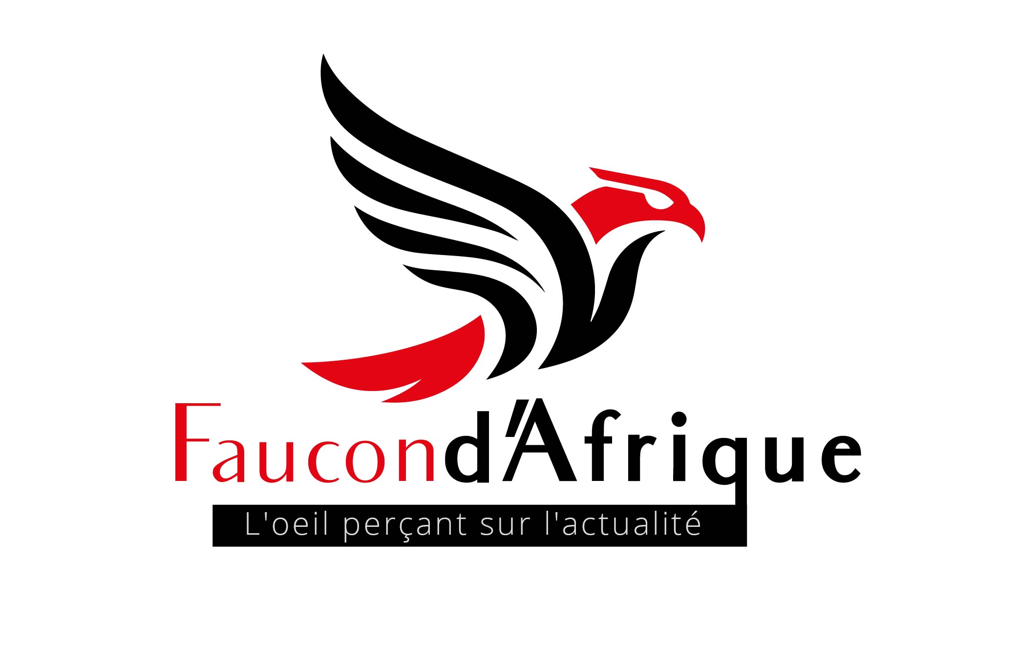 Le Faucon d’Afrique : L’oeil perçant sur l’actualité